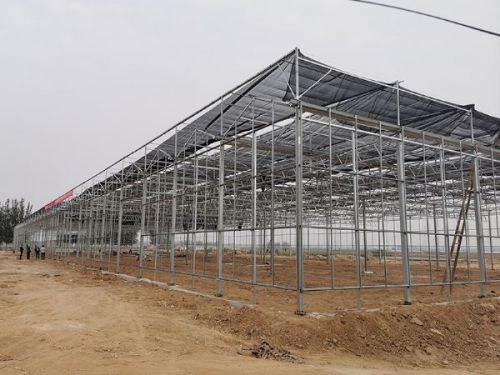 玻璃溫室的優(yōu)點(diǎn)有哪些？