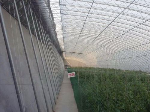 內遮陽系統(tǒng)