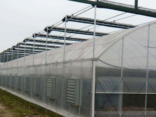 連棟薄膜溫室