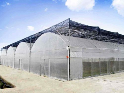 連棟薄膜溫室